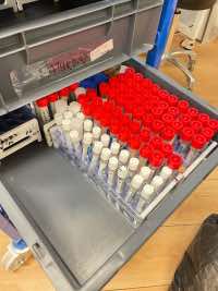 5 Million – the rise: a vaccine is being studied to stem it